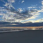 Teresa Al Mare *